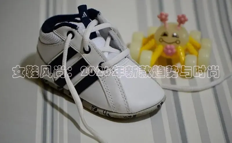 女鞋风尚：2026年新款趋势与时尚